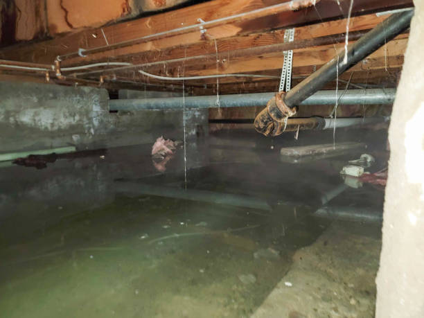 Best Water damage restoration near me  in Farngton Hills, MI