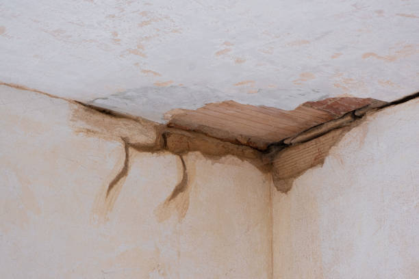 Best Water damage restoration company  in Farngton Hills, MI