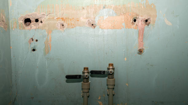 Best Ceiling water damage repair  in Farngton Hills, MI