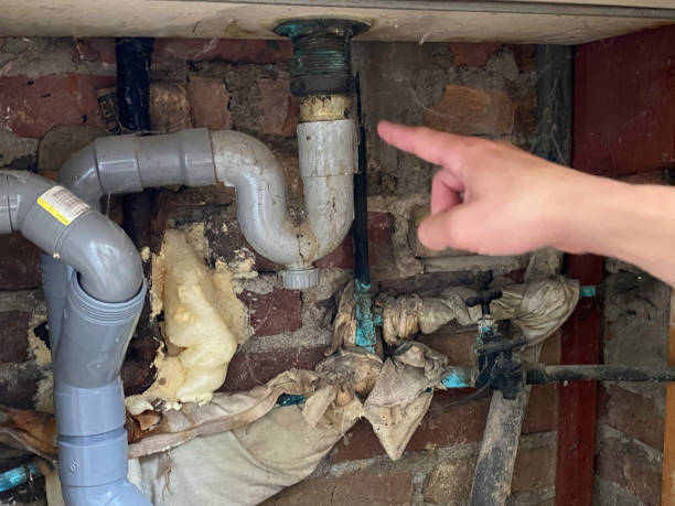Best Water damage cleanup near me  in Farngton Hills, MI